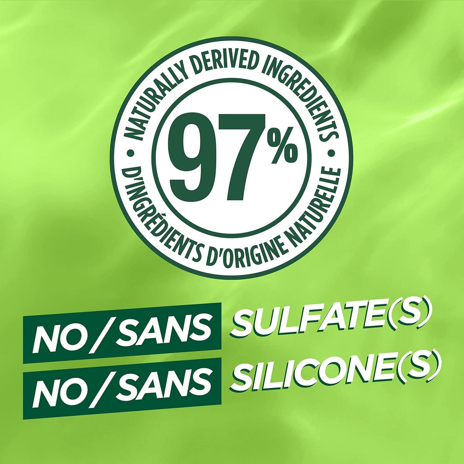 imageGarnier Fructis Sleek ampamp Shine Glass Hair Water 10 Seconds Lamellar Rinse Out Argan Oil 60 Fl Oz 1 Count Packaging May Vary608 Fl Oz Pack of 1