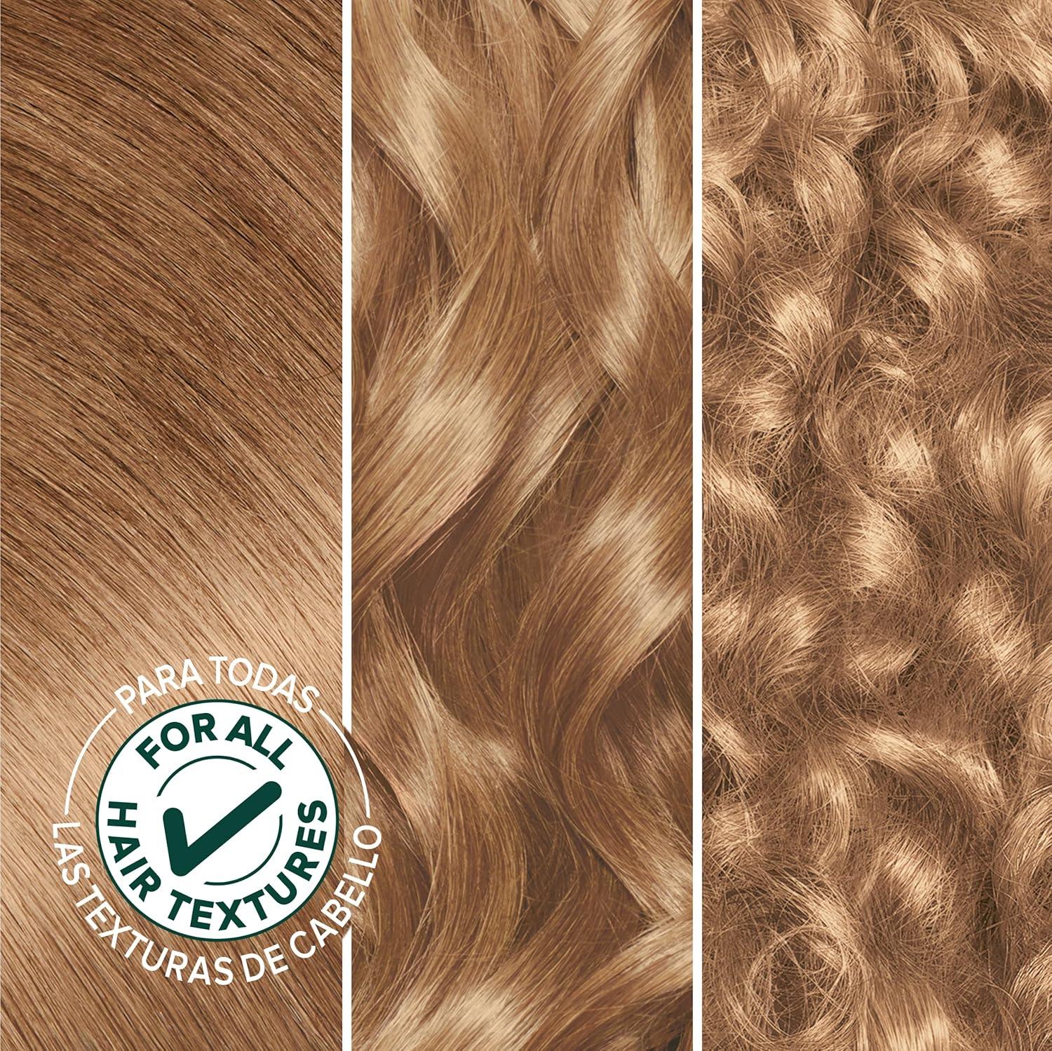 imageGarnier Hair Color Nutrisse Nourishing Creme 30 Darkest Brown Sweet Cola Permanent Hair Dye 2 Count Packaging May Vary80 Medium Natural Blonde Butternut