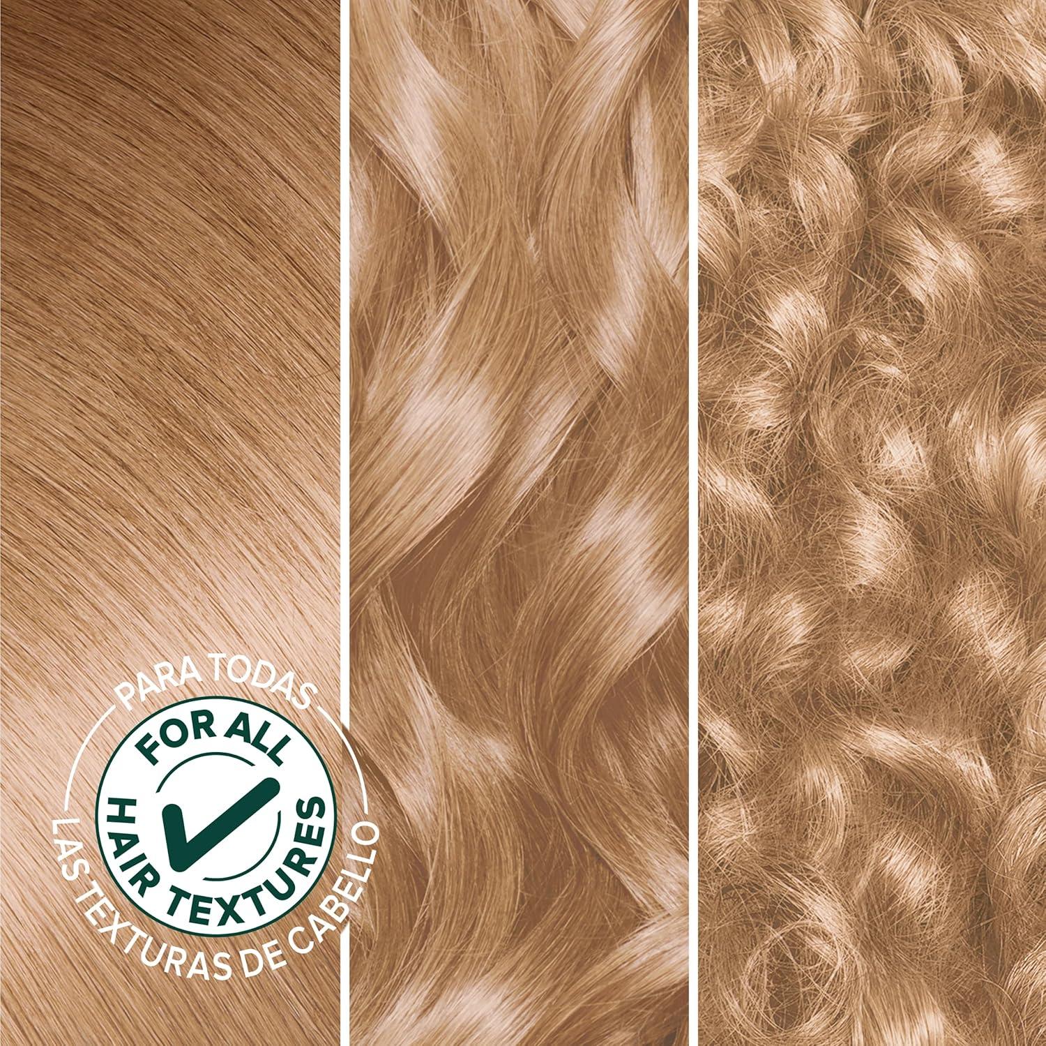 imageGarnier Hair Color Nutrisse Nourishing Creme 30 Darkest Brown Sweet Cola Permanent Hair Dye 2 Count Packaging May Vary82 Pearly Blonde Biscotti