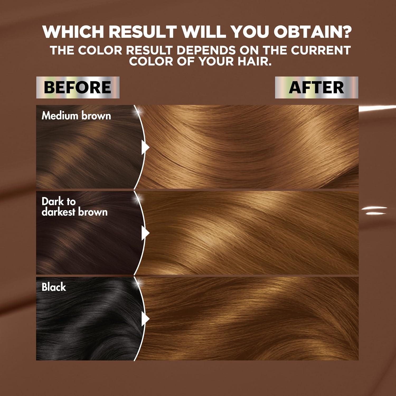 imageGarnier Hair Color Nutrisse Nourishing Creme 30 Darkest Brown Sweet Cola Permanent Hair Dye 2 Count Packaging May VaryB3 Golden Brown Spiced Rum