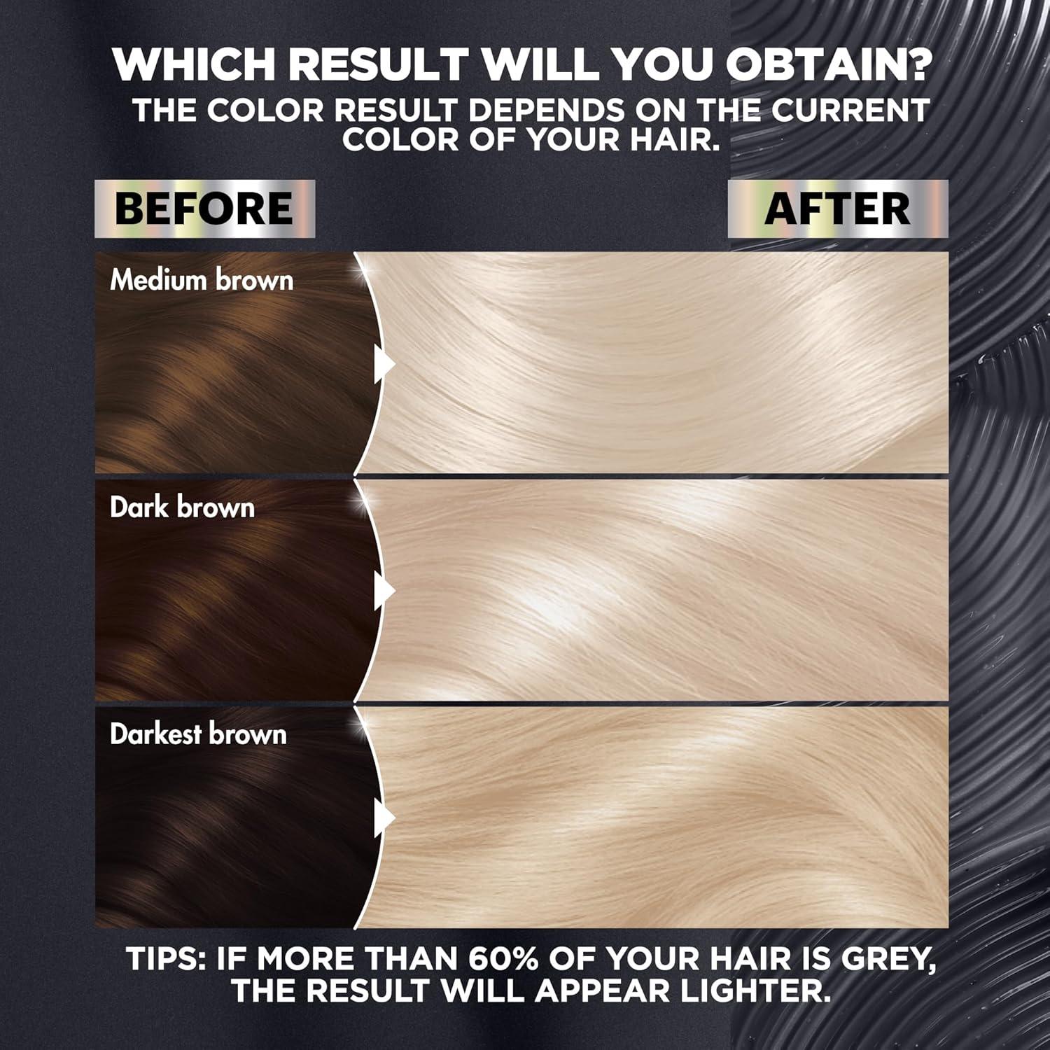 imageGarnier Hair Color Nutrisse Ultra Color Nourishing Creme PL2 Ultra Light Platinum Mascarpone Crme Permanent Hair Dye 1 Count Packaging May VaryCharcoal Bleach Pl3