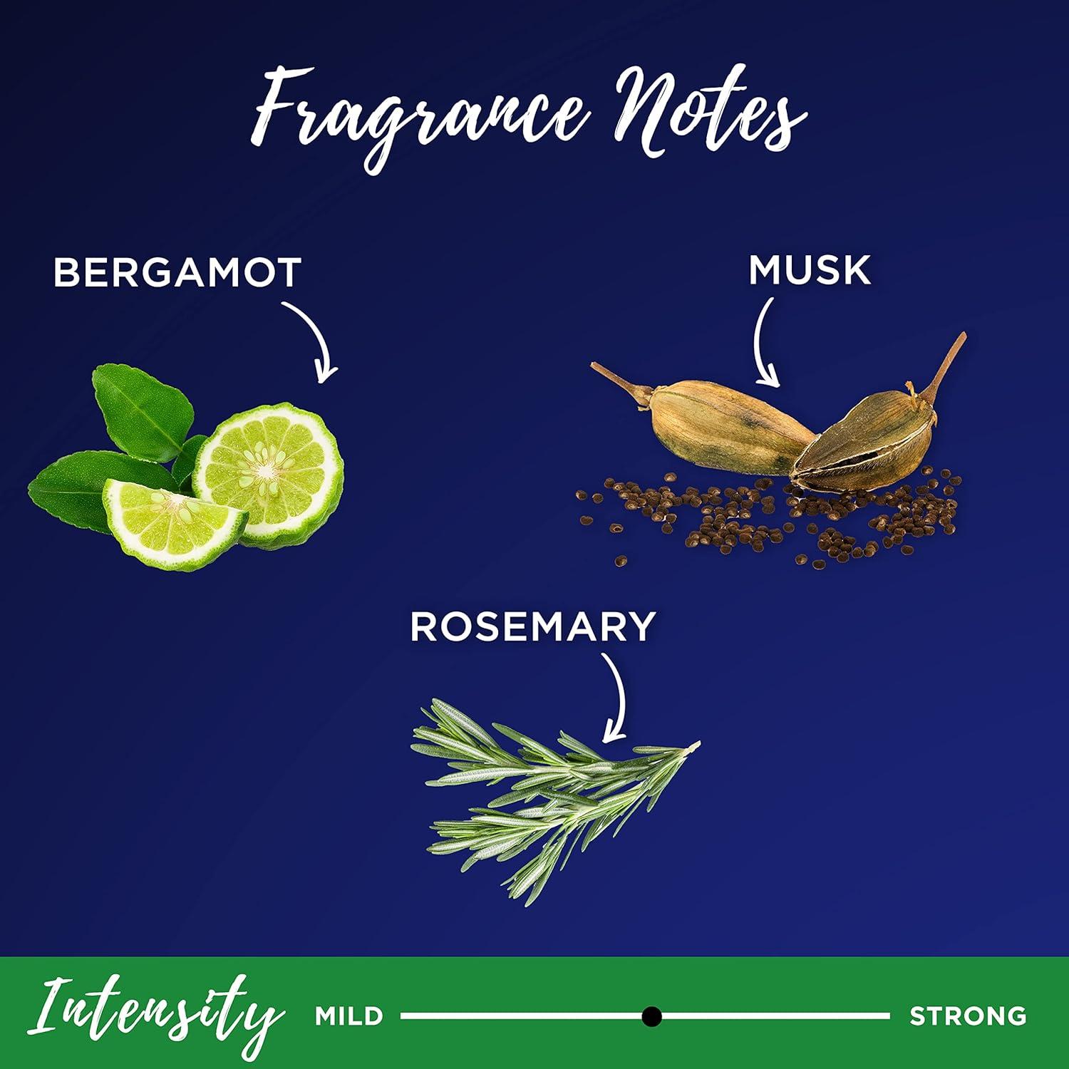 imageGarnier Whole Blends Black Charcoal ampamp Nigella Flower Oil Rebalancing Shampoo and Conditioner Set for Greasy Scalp ampamp Dry Ends with Sample 266 Fl Oz 1 Kit Packaging May Vary