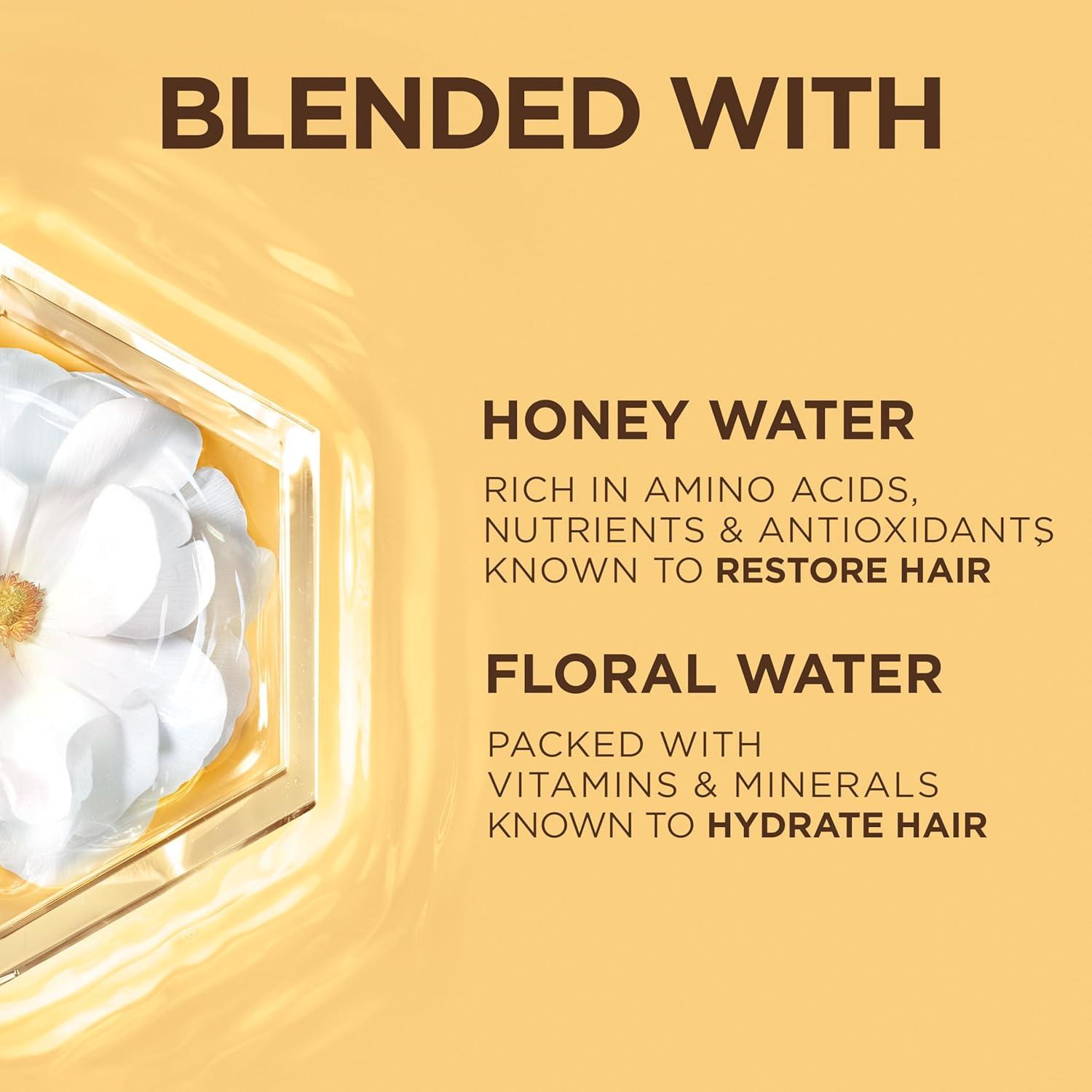 imageGarnier Whole Blends Honey Water Moisture Restoring Conditioner Hair Care for Dry Hair and Dry Scalp with Honey Nectar and Floral Water 266 Fl Oz