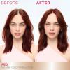 imageGarnier Color Sensation Color Retouch Demi Permanent Hair Dye for Roots with 100 Gray Coverage Red Hair Dye 66 Pack of 6Red