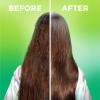 imageGarnier Fructis Sleek ampamp Shine 10in1 for Frizzy Dry Hair Plant Keratin 81 Fl Oz 1 Count Packaging May Vary