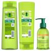 imageGarnier Fructis Sleek ampamp Shine Shampoo Conditioner  AntiFrizz Serum Set for Frizzy Dry Hair Argan Oil 3 Items 1 Kit Packaging May VaryArgan Oil
