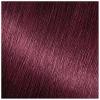 imageGarnier Hair Color Nutrisse Nourishing Creme 30 Darkest Brown Sweet Cola Permanent Hair Dye 2 Count Packaging May Vary462 Dark Berry Burgundy Sugar Beet