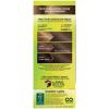 imageGarnier Hair Color Nutrisse Nourishing Creme 30 Darkest Brown Sweet Cola Permanent Hair Dye 2 Count Packaging May Vary51 Medium Ash Brown Cool Tea