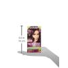 imageGarnier Hair Color Nutrisse Nourishing Creme 30 Darkest Brown Sweet Cola Permanent Hair Dye 2 Count Packaging May VaryBr3 Intense Burgundy