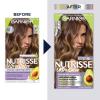 imageGarnier Hair Color Nutrisse Ultra Color Nourishing Creme PL2 Ultra Light Platinum Mascarpone Crme Permanent Hair Dye 1 Count Packaging May VaryBY1 Ultra Balayage Icing Swirl