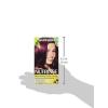 imageGarnier Hair Color Nutrisse Ultra Color Nourishing Creme RC1 Medium Intense Copper Red Terracotta Chili Permanent Hair Dye 2 Count Packaging May Vary362 Darkest Berry Burgundy