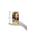 imageGarnier Hair Color Nutrisse Ultra Color Nourishing Creme RC1 Medium Intense Copper Red Terracotta Chili Permanent Hair Dye 2 Count Packaging May Vary53 Medium Golden Brown Chestnut