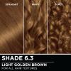 imageGarnier Hair Color Olia AmmoniaFree Brilliant Color OilRich Permanent Hair Dye 30 Darkest Brown 2 Count Packaging May Vary63 Light Golden Brown