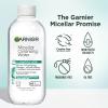 imageGarnier Micellar Water with Salicylic Acid Allin1 Mattifying Facial Cleanser and Makeup Remover for Oily and Acne Prone Skin 135 Fl OzUnscented