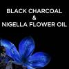 imageGarnier Whole Blends Black Charcoal ampamp Nigella Flower Oil Rebalancing Shampoo and Conditioner Set for Greasy Scalp ampamp Dry Ends with Sample 266 Fl Oz 1 Kit Packaging May Vary