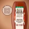 imageGarnier Whole Blends Coconut Oil ampamp Cocoa Butter Smoothing Shampoo for Frizzy Hair 22 Fl Oz 2 Count Packaging May VaryCoconut OilCocoa Butter