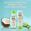 imageGarnier Whole Blends Coconut Water ampamp Aloe Vera Refreshing Shampoo for Normal Hair 266 Fl Oz 1 Count Packaging May Vary28 Fl Oz Pack of 1