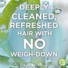 imageGarnier Whole Blends Coconut Water ampamp Aloe Vera Refreshing Shampoo for Normal Hair 266 Fl Oz 1 Count Packaging May Vary28 Fl Oz Pack of 2