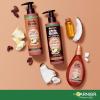 imageGarnier Whole Blends Sulfate Free Remedy Miracle Frizz Tamer 10in1 LeaveIn Conditoner for Very Frizzy Hair Coconut Oil ampamp Cocoa Butter 5 Fl Oz 2 Count Packaging May VaryCoconut