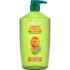 imageGarnier Fructis Grow Strong Thickening Shampoo for Fine Hair BiotinC 338 Fl Oz 1 Count Packaging May Vary