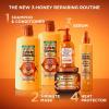 imageGarnier Whole Blends Honey Treasures Repairing Conditioner Hair Repair Formula for Dry Damaged Hair with Acacia Manuka and Lavender Honeys 266 Fl Oz Packaging May VaryHoney