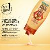 imageGarnier Whole Blends Honey Treasures Repairing Conditioner Hair Repair Formula for Dry Damaged Hair with Acacia Manuka and Lavender Honeys 266 Fl Oz Packaging May VaryHoney
